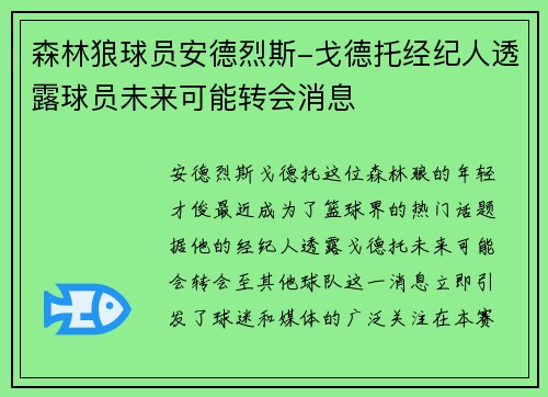森林狼球员安德烈斯-戈德托经纪人透露球员未来可能转会消息